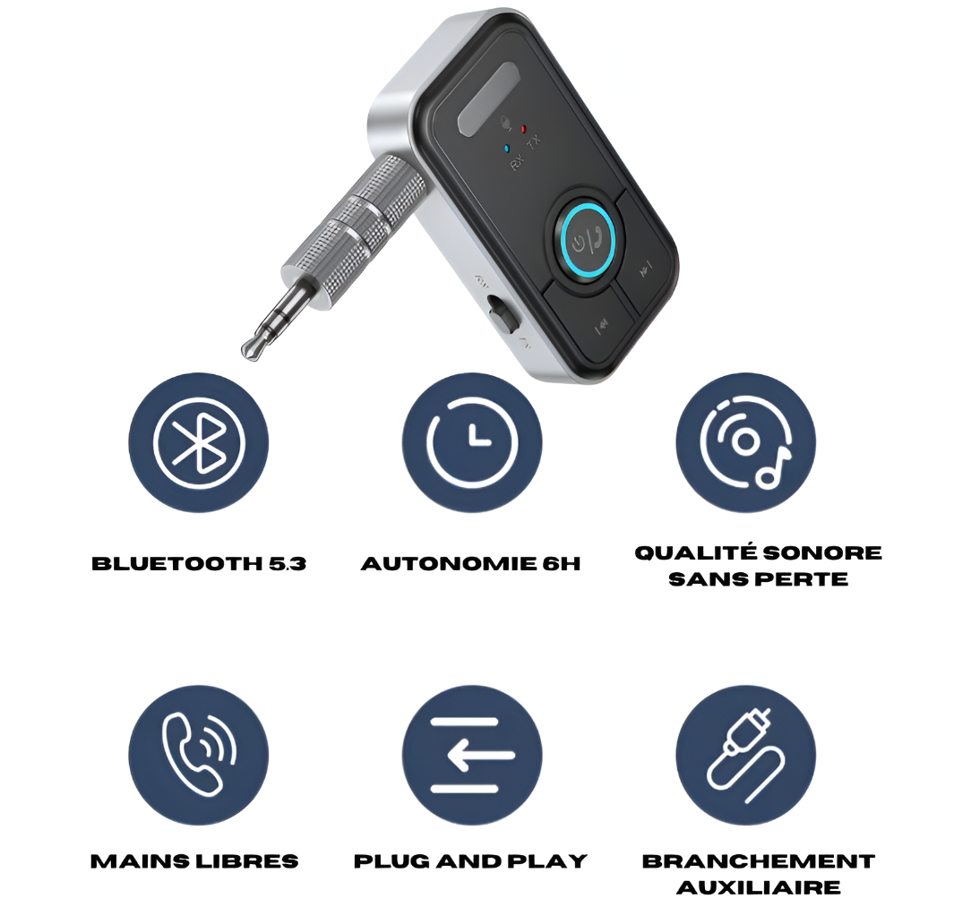 Adaptateur Bluetooth